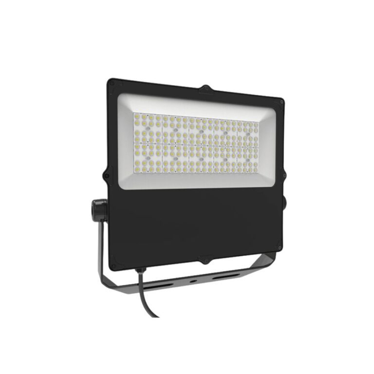 COASTAL FLOOD LIGHT